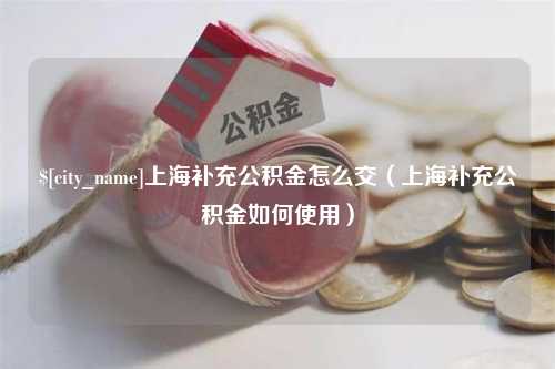 宁波上海补充公积金怎么交（上海补充公积金如何使用）